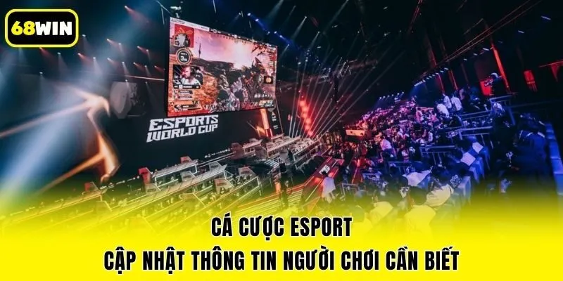 Cá Cược Esport - Cập Nhật Thông Tin Người Chơi Cần Biết