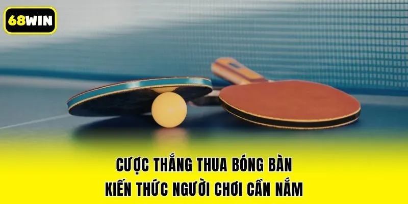 Cược Thắng Thua Bóng Bàn - Kiến Thức Người Chơi Cần Nắm