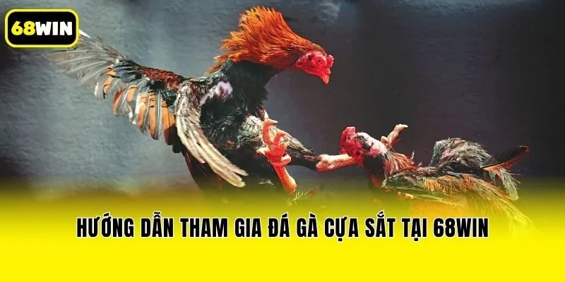 Hướng dẫn tham gia đá gà cựa sắt tại 68win